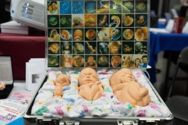 Dolls resembling fetuses on display at the Internatio<em></em>nal Co<em></em>ngress of Families in Guadalajara, Mexico, in March 2024.